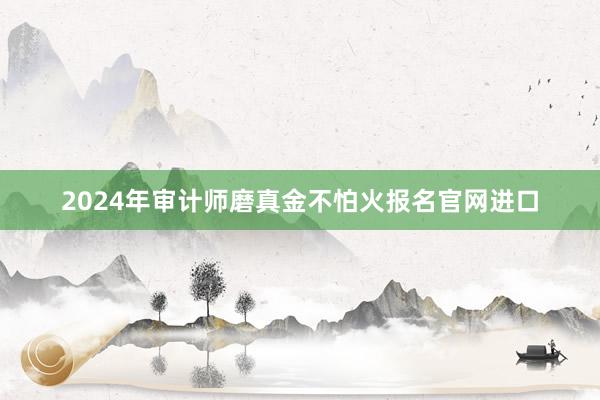 2024年审计师磨真金不怕火报名官网进口