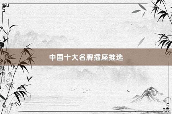 中国十大名牌插座推选