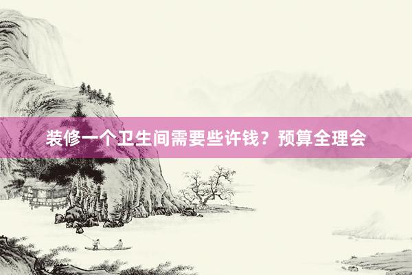 装修一个卫生间需要些许钱？预算全理会
