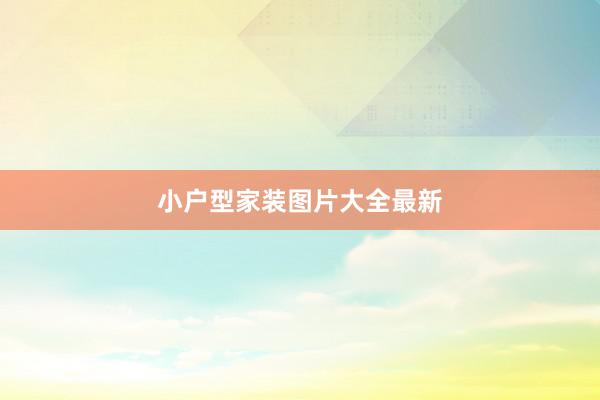 小户型家装图片大全最新
