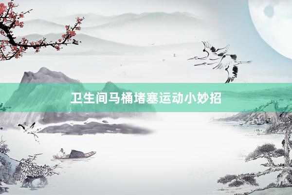 卫生间马桶堵塞运动小妙招