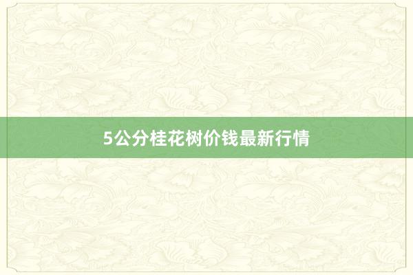 5公分桂花树价钱最新行情