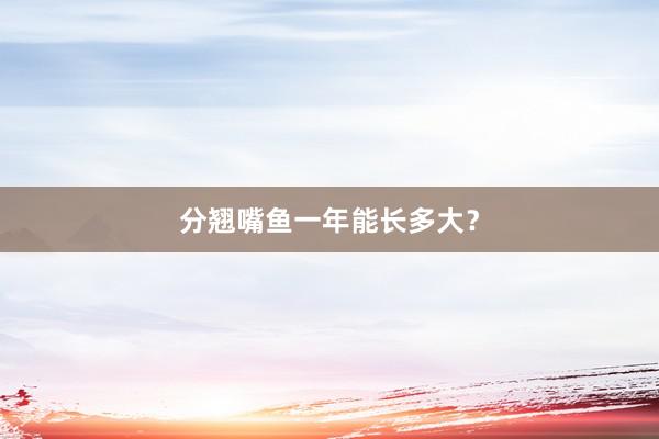 分翘嘴鱼一年能长多大？